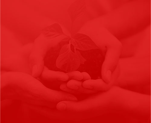 长沙网络公司萃聚网络 长沙网络公司萃聚网络